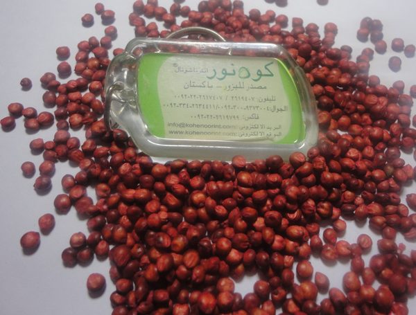Sudan Grass &amp; <span class="text-green-bright">Sorghum-Sudan Hybrids</span>